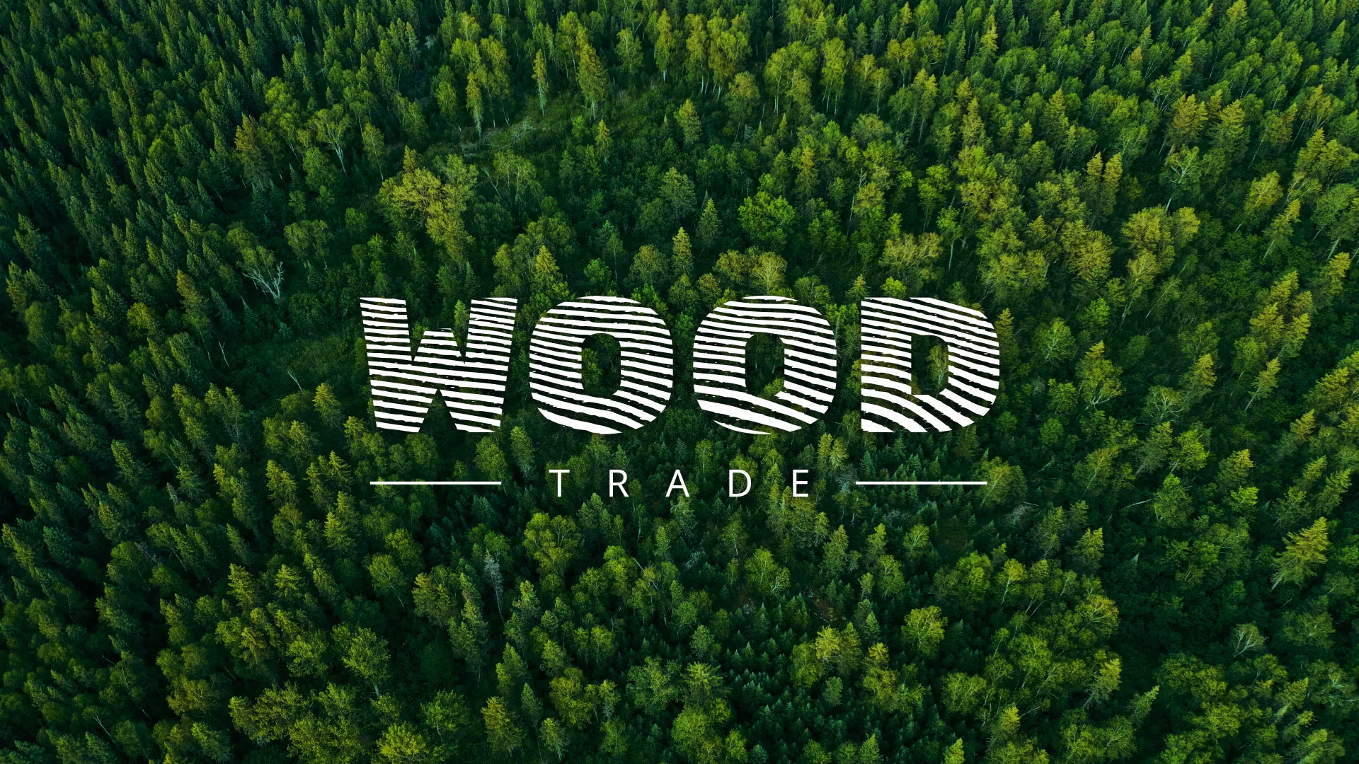 Разработка интернет-магазина компании «Wood Trade» в Сураже